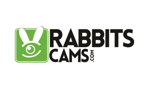 rabitts cam